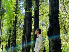 -同里国家湿地公园