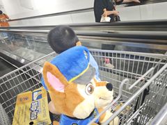 -山姆会员商店(上海浦东店)