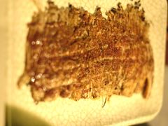 -贺秦生陕面王(富力城店)