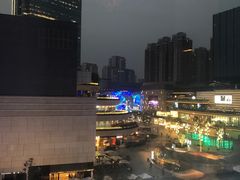 -花潮料理艺食馆(成都万象城店)