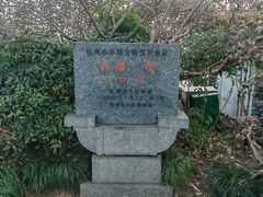 -西湖游船