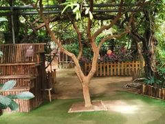 -呀路古热带植物园