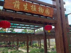 -广东茂名森林公园