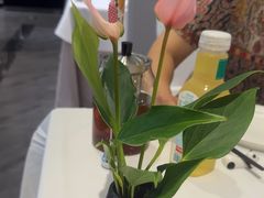 -眉州东坡(东坝店)