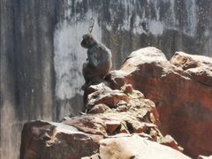 -昆明动物园