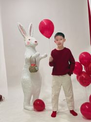 -小熊维尼高端孕婴摄影(清湖金銮店)