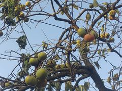 -敬亭山风景名胜区