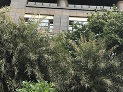 小区环境-星汇云锦