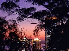 -鸿山公园
