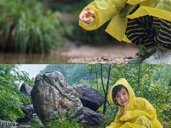 -牛背梁国家森林公园