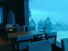 -涛·海底餐厅·美人鱼·自助餐·海底隧道(三亚海棠湾洲际度假酒店)