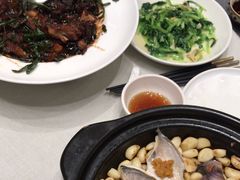 -新吉士·上海菜(浦东LCM置汇旭辉店)