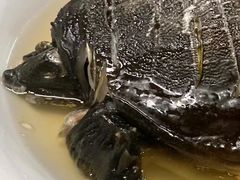 -老鳖私房菜(常青花园店)