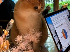 -咖法森林·咖啡  酒吧(天河店)