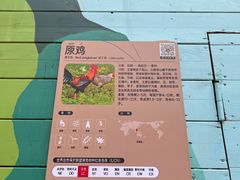 -武汉动物园