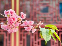 -荣国府