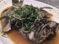 -海港荟(大埔新达店)