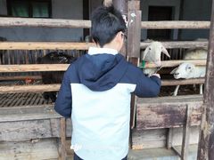 -乌村
