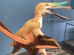 -国家自然博物馆