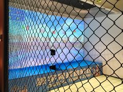 -涨巢·潮玩水疗局