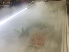 -蛙太牛牛肉海鲜自助火锅(台江万达店)