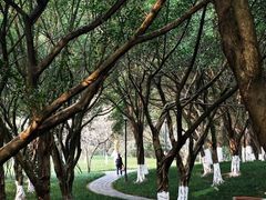 -龙头寺公园