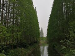 -金岛生态园烧烤露营地