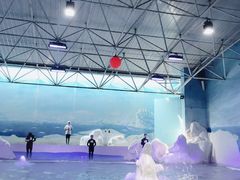 -秦皇岛乐岛海洋王国