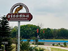 -自贡恐龙博物馆