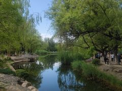-满都海公园