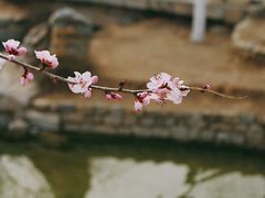 -三里河公园