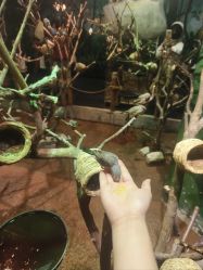 -Zoolung Zoolung动物主题公园(海信广场店)