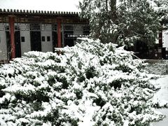 -碑林公园