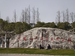 -上海海湾国家森林公园