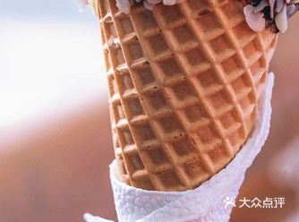 牛奶、奶油、酸奶，蛋黄，薄饼脆筒