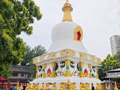 -护国法轮寺