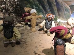 -成都泰迪熊博物馆