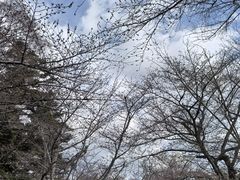 -醍醐寺