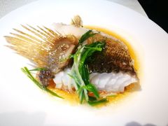 -皇朝会.经典传统粤菜(外滩店)