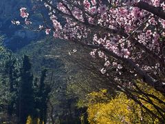 -昆嵛山石门里景区