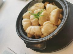 -金粤九号(李公堤店)