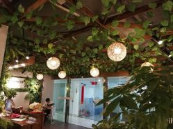 -小熊维尼高端儿童摄影(宝安旗舰店)