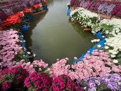 -上海鲜花港