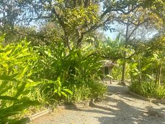 -大象粑粑造纸公园