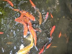 -31号公馆(黄兴广场白果园店)