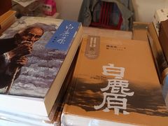 -白鹿原影视城