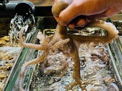 -万龙洲海鲜(南新仓店)