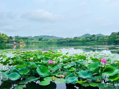 -承德避暑山庄景区