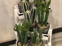 -春风·有糖(崇宁路店)