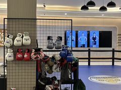 -章鱼健身 Octopus